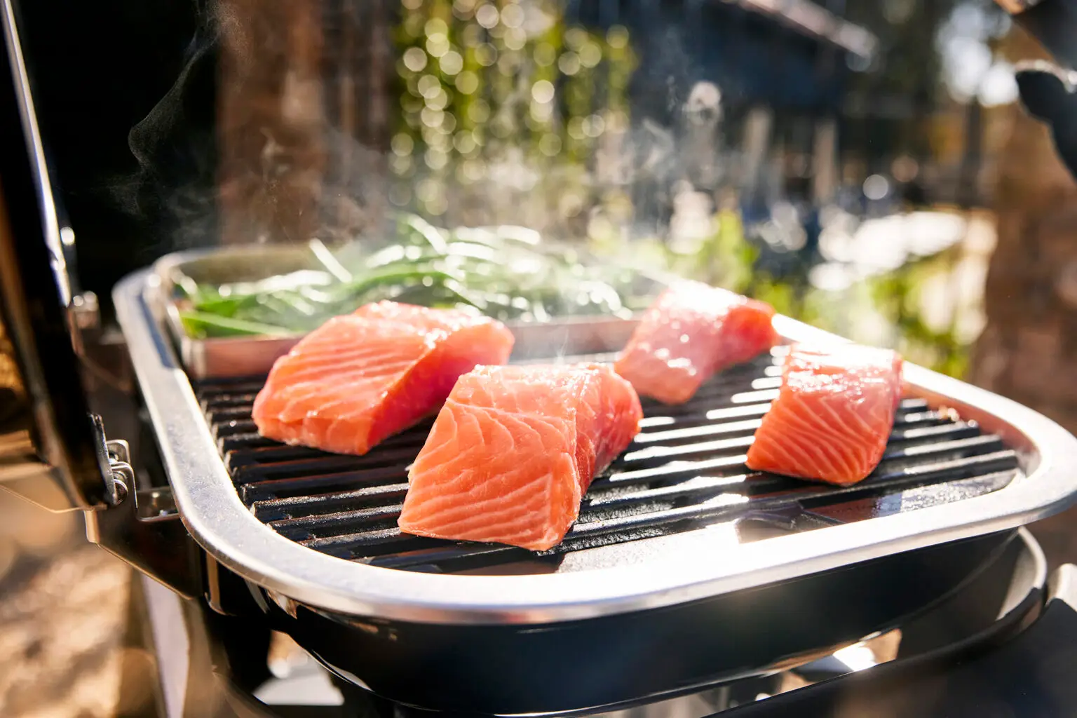 Weber_Elektro_Lumin_2026_001