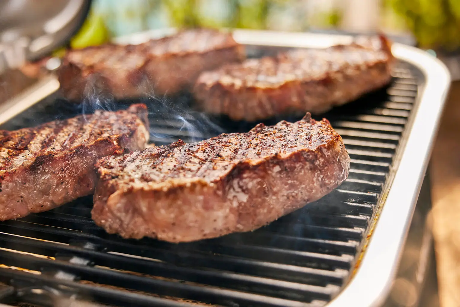 Weber_Elektro_Lumin_2026_003