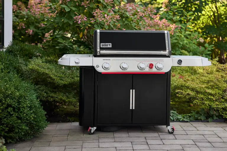 Weber_Gas_Genesis_2026_001