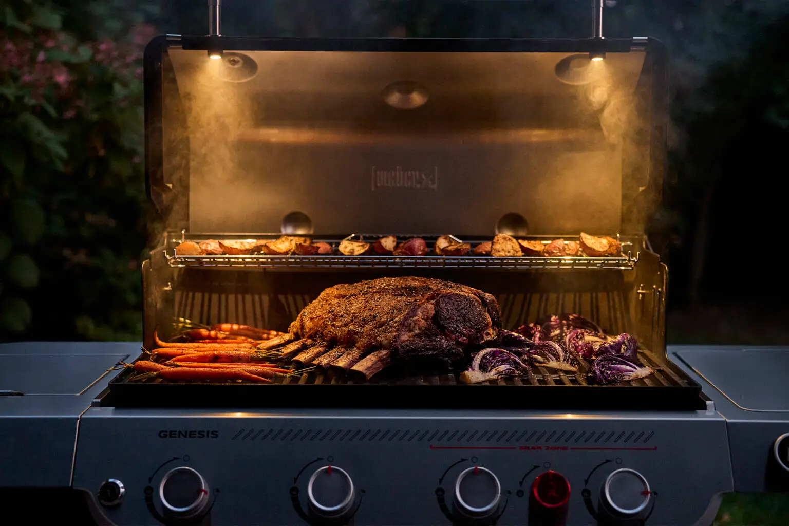 Weber_Gas_Genesis_2026_003