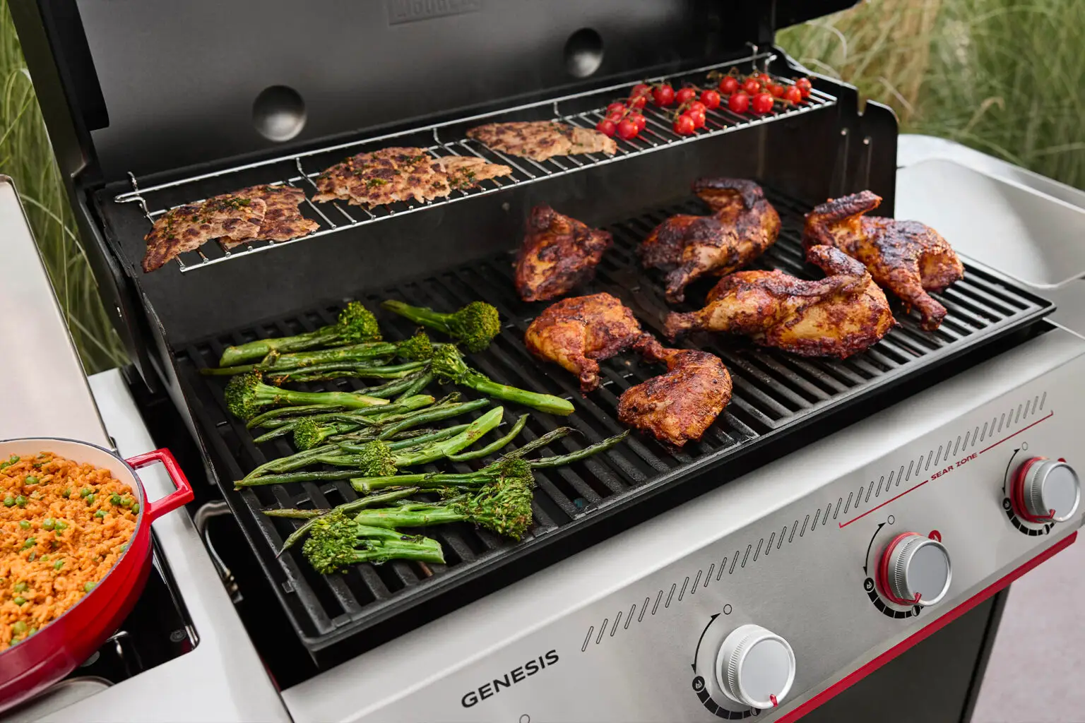 Weber_Gas_Genesis_2026_004