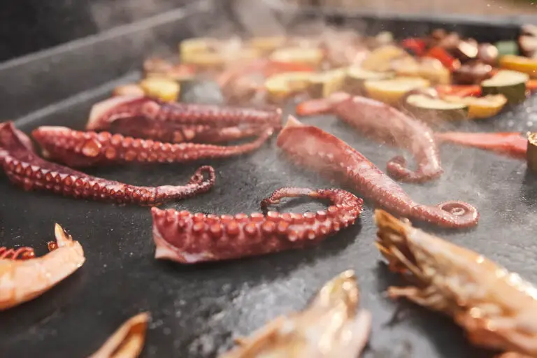 Weber_Plancha_Slate_2026_007