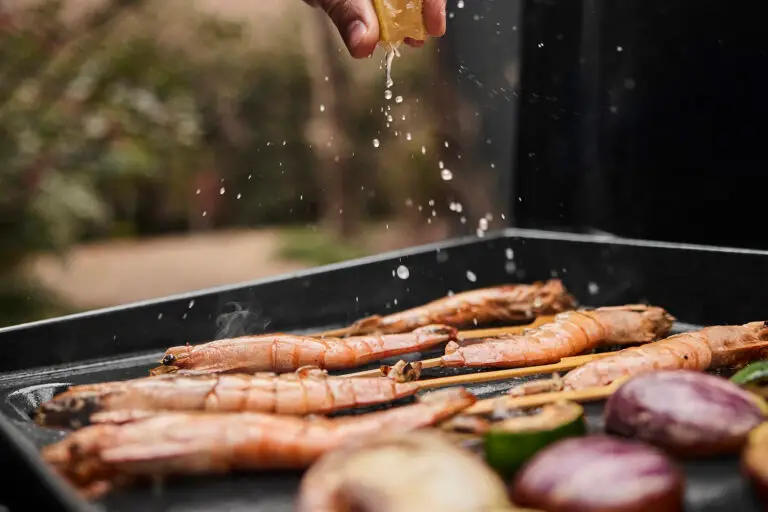 Weber_Plancha_Weitere_2026_008